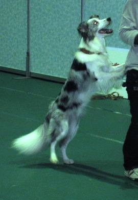 c0171368_0524375.jpg