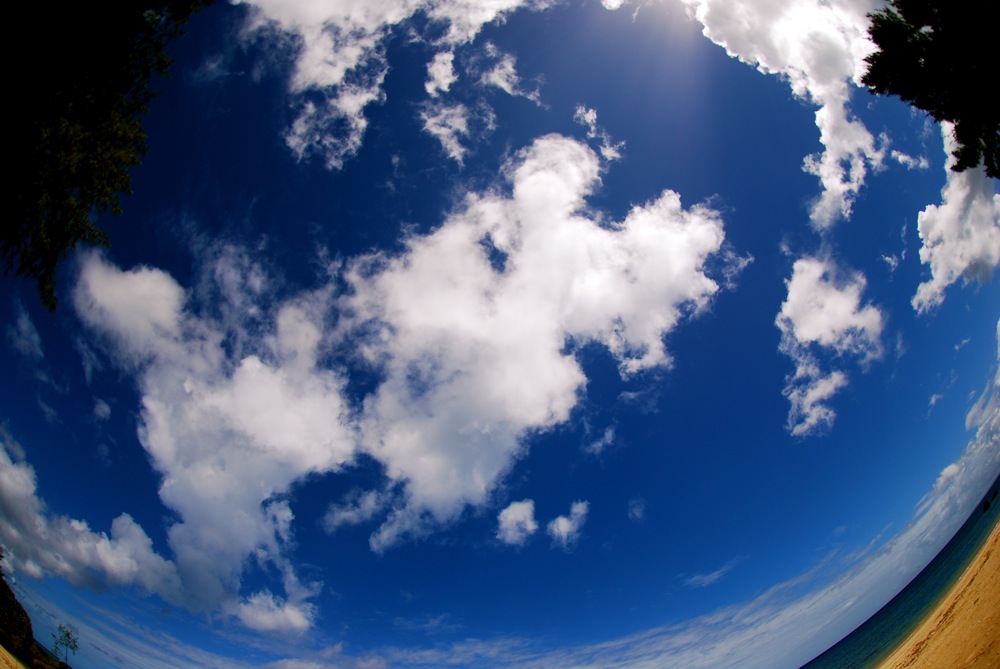 c0132571_20451760.jpg
