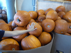 f0186671_12483089.gif