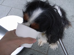f0030875_151918.jpg