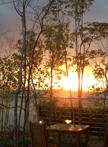 c0167576_17533056.gif