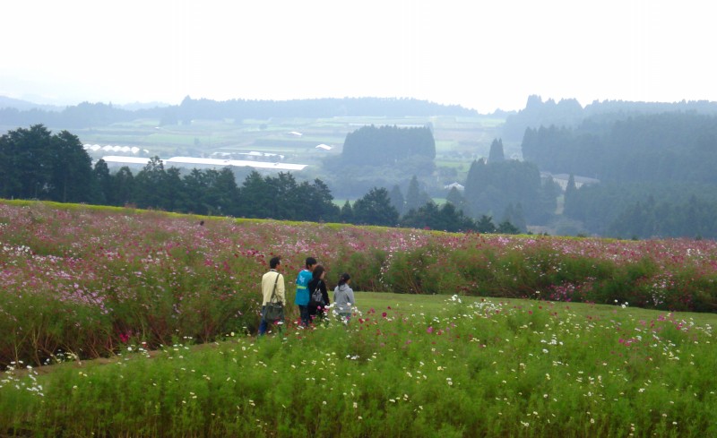 f0165677_17304050.jpg