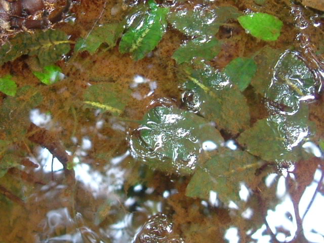 a0067578_2044844.jpg