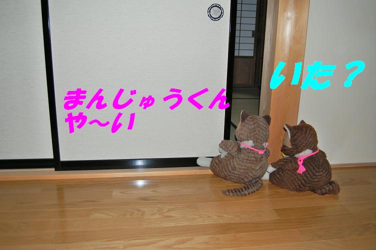 b0059978_2133669.jpg