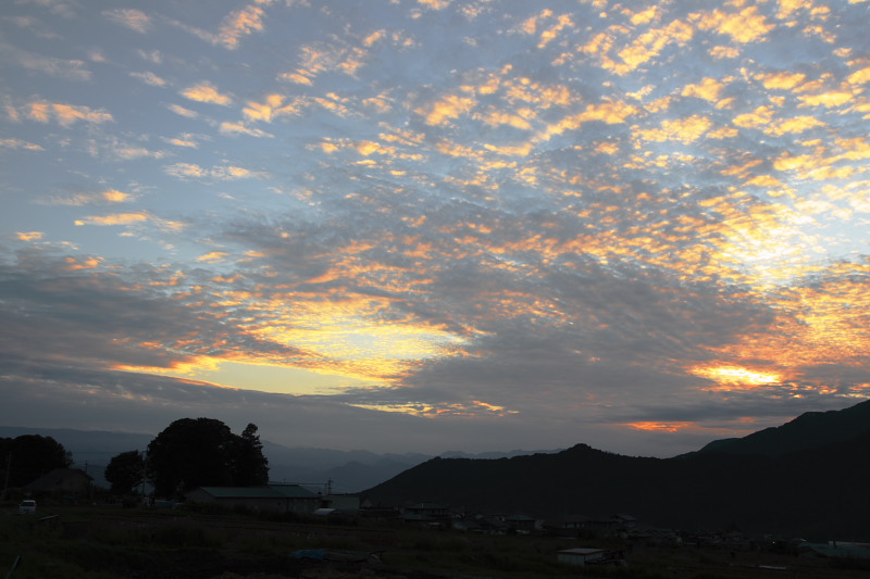 b0083779_82174.jpg