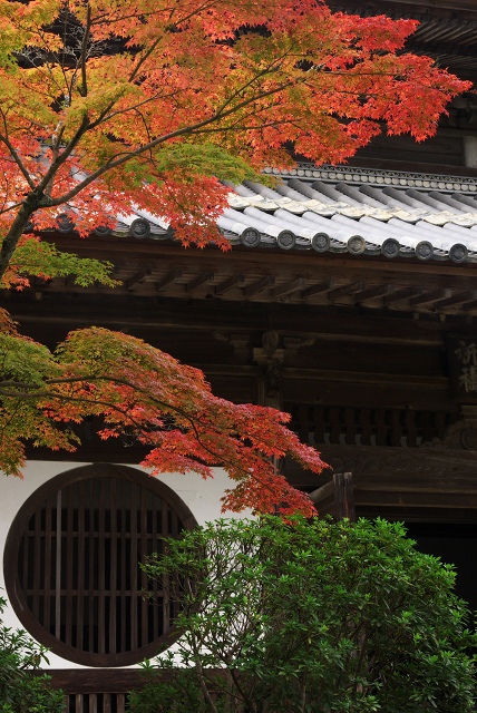 c0135381_93185.jpg