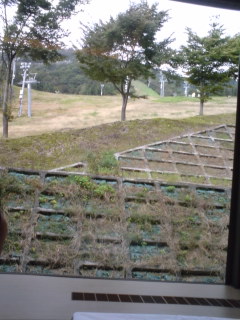 d0034988_1732133.jpg
