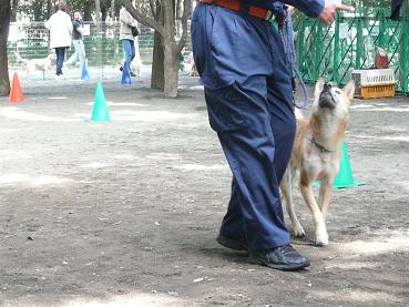 c0123890_2051648.jpg