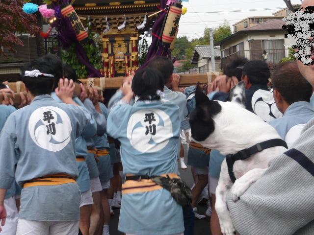 d0087091_1701580.jpg
