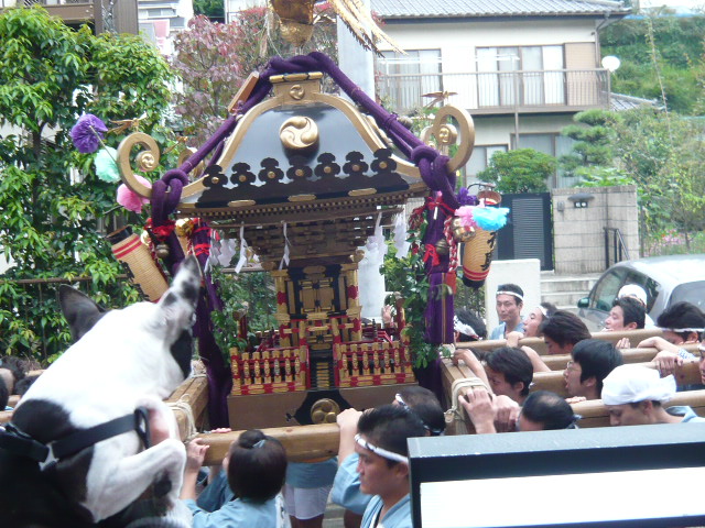 d0087091_1773870.jpg