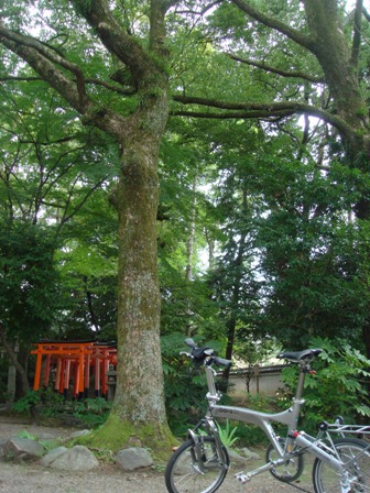 e0111793_17252123.jpg