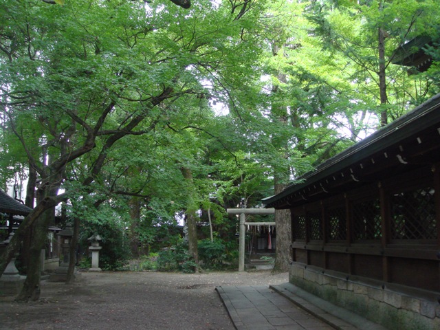 e0111793_17273028.jpg