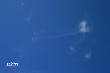 e0122194_163396.jpg