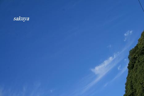 e0122194_164328.jpg