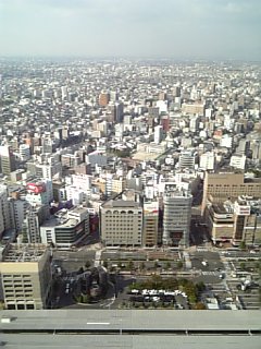 a0042295_9274579.jpg