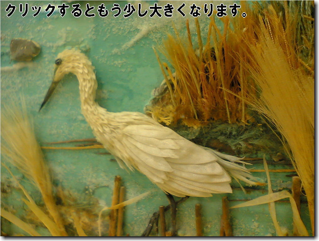 e0014000_8235963.jpg