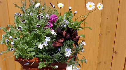 c0152002_18412094.jpg