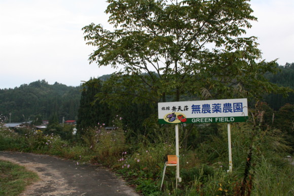 d0070702_2220343.jpg