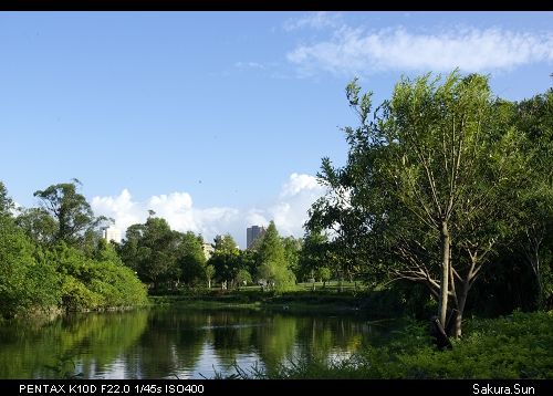 b0111106_21264319.jpg