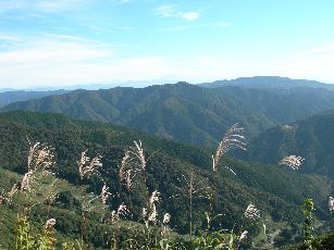 c0149408_19364536.jpg