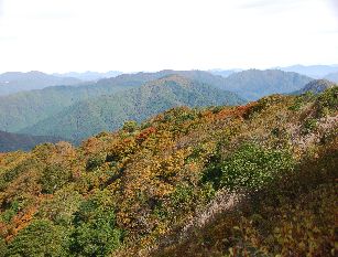 c0149408_19393417.jpg