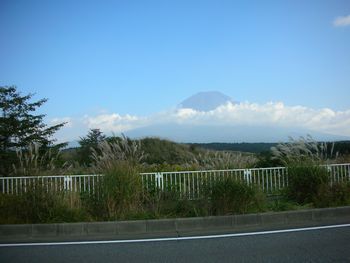 c0162212_20481362.jpg