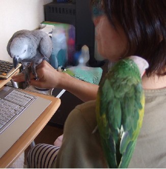 c0133013_13232110.jpg