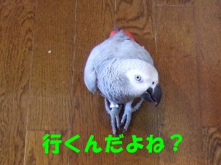 c0133013_1324436.jpg