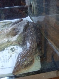 c0133013_1416449.jpg