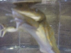 c0133013_14185323.jpg