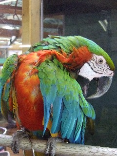 c0133013_14284714.jpg