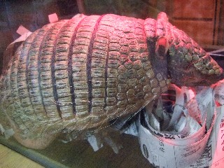 c0133013_16122055.jpg