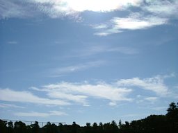 f0153115_23462971.jpg