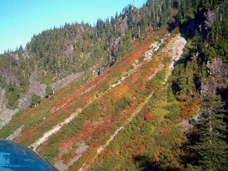 c0018716_1324740.jpg