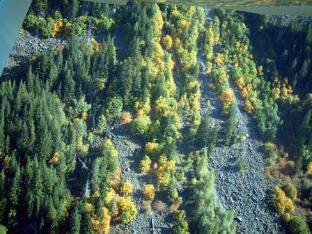 c0018716_1354568.jpg