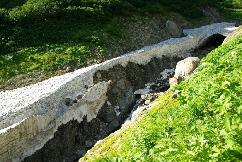 b0062024_20512775.jpg