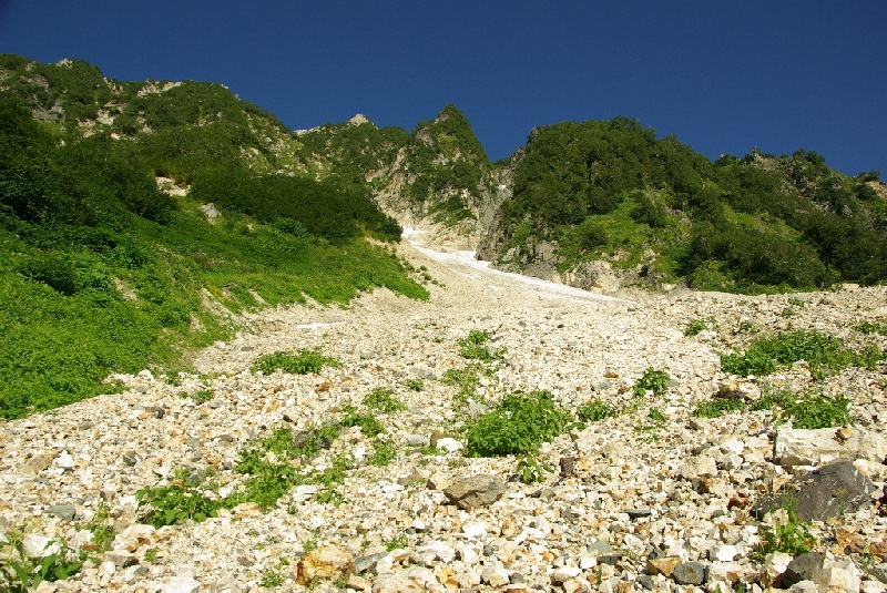 b0062024_20595529.jpg