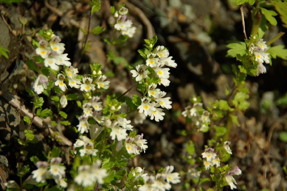 b0062024_2111353.jpg
