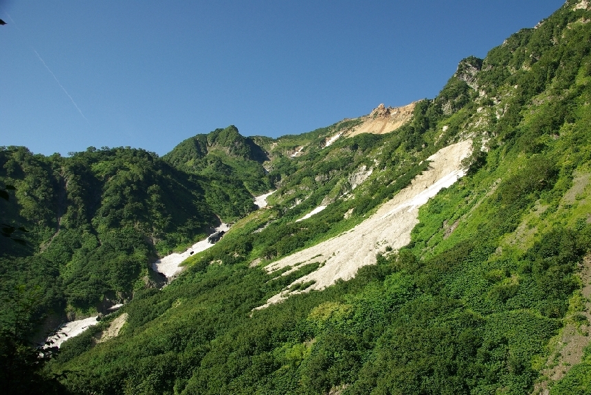 b0062024_21163783.jpg