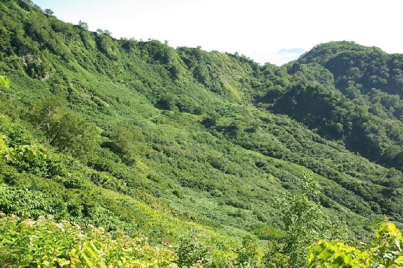 b0062024_21202075.jpg
