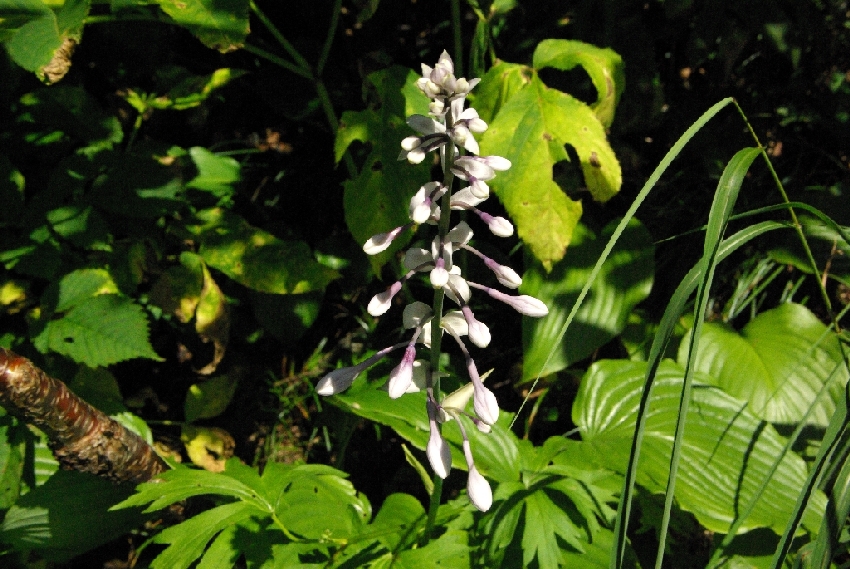 b0062024_21272442.jpg