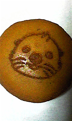 c0127428_1629185.jpg