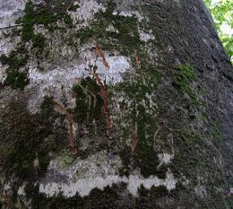 f0118332_16543022.jpg