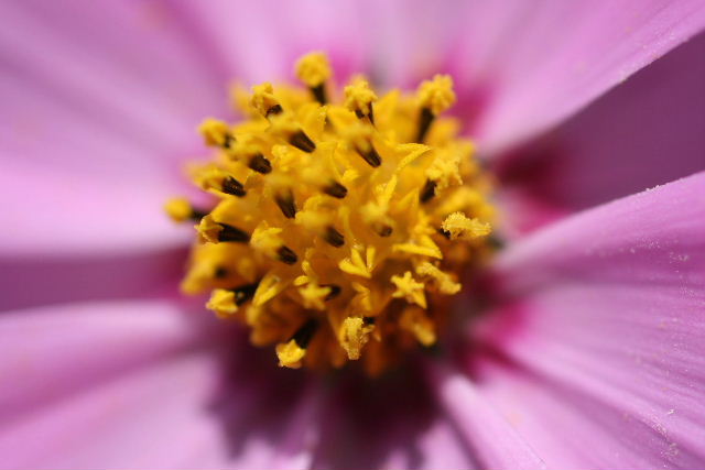 e0064133_035036.jpg