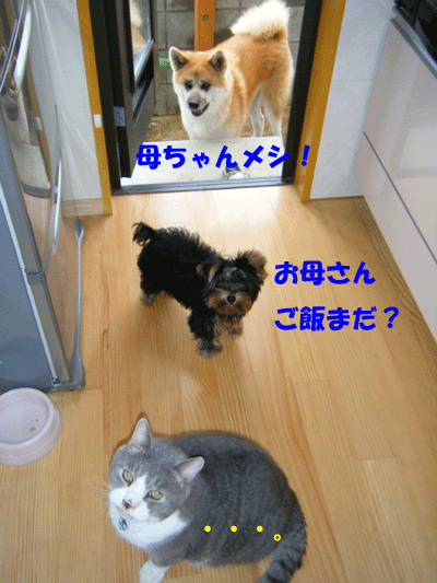 f0008935_1416123.gif