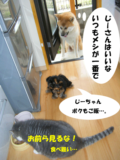f0008935_14165642.gif