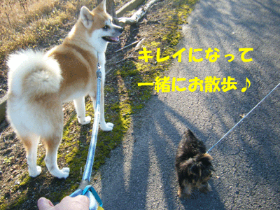 f0008935_14271443.gif