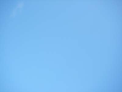 f0008935_1521374.jpg