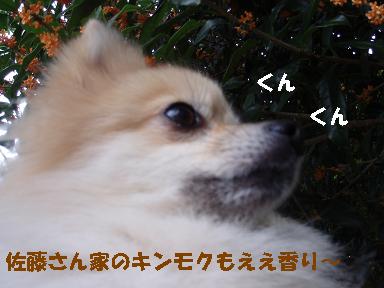 c0179136_1431579.jpg