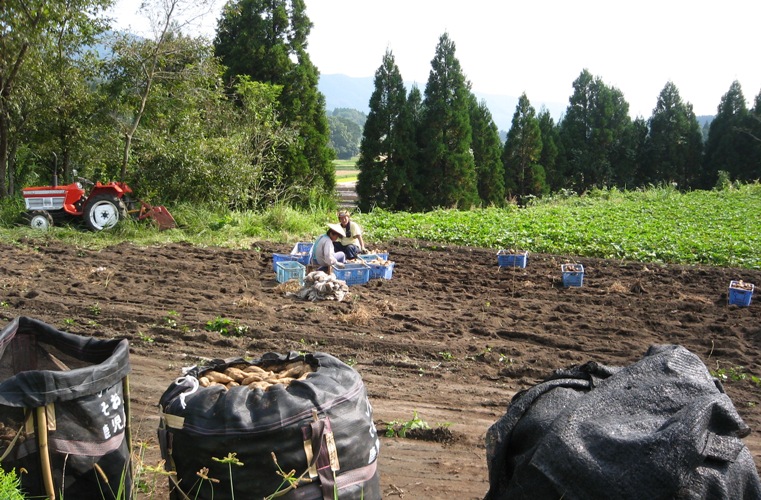 f0042737_13193512.jpg